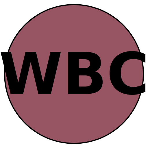 Wedding Beauty Co.